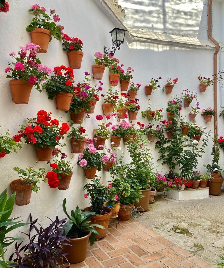 Amal Casa De Huespedes Apartment กอร์โดบา ภายนอก รูปภาพ